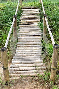 Perspective view of the bamboo bridge cross over mud.