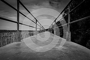 Perspective view of concrete bridge with metal fence on mangrove forest against dramatic grey sky and clouds. Grief, hopeless