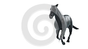 3D Rendering Black horse in running Pose, Isolated on white background. Perspective View.