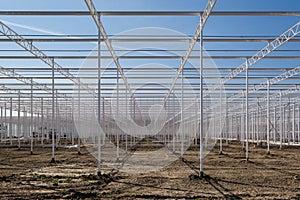 Perspective view on the framework of an industrial glass greenhouse under construction in the Netherlands.