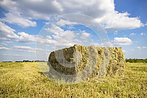 Perspective view of grass compacted in square silage bale in agricultural field and a sky with white clouds