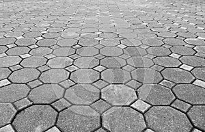 Perspective view of Grunge Gray Brick Stone on The Ground for Street Road. Sidewalk, Driveway, Pavers