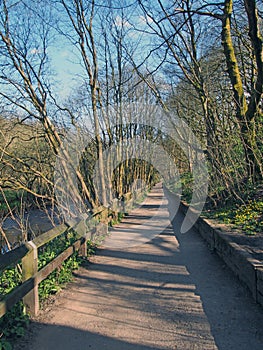 Perspective view of a long straight pathway running alongside a river surrounded by sunlit trees in calderdale west yorkshire near