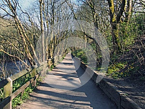 Perspective view of a long straight pathway running alongside a river surrounded by sunlit trees in calderdale west yorkshire near