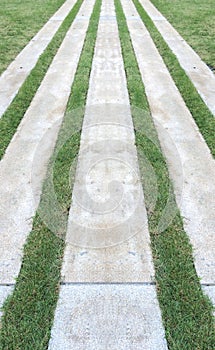 Perspective View of Marble Stone Pattern Sidewalk, Pavement with Line of Grass Texture Background