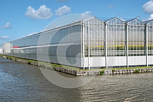 Perspective view of a modern industrial greenhouse in the Netherlands