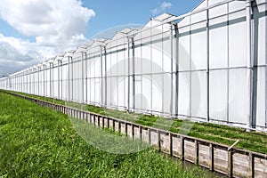 Perspective view of a modern industrial greenhouse in the Netherlands