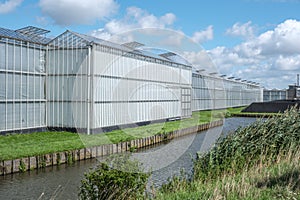 Perspective view of a modern industrial greenhouse in the Netherlands