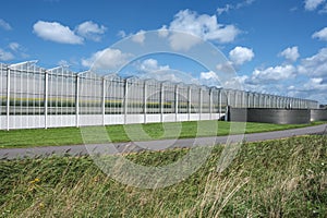 Perspective view of a modern industrial greenhouse in the Netherlands