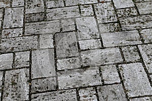 Perspective View of Monotone Gray Brick Stone on The Ground for Street Road