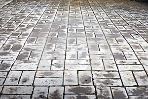 Perspective view monotone gray brick stone pavement on the ground for street road. Sidewalk, driveway, pavers, tile
