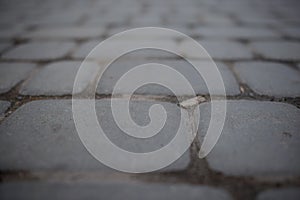 Perspective View of Monotone Gray Brick Stone Street Road. Sidew