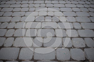 Perspective View of Monotone Gray Brick Stone Street Road. Sidew