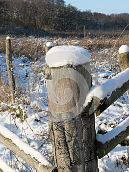 Perspective view of round wooden posts of a wooden fence covered with snow hoods