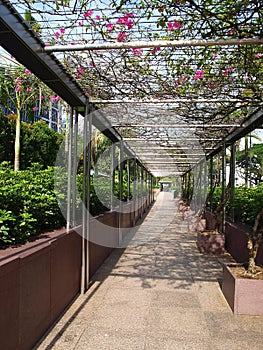 Perspective Walkway