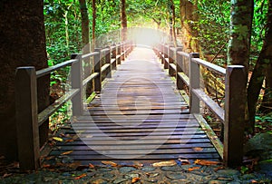 Perspective of wood bridge in deep forest crossing water stream