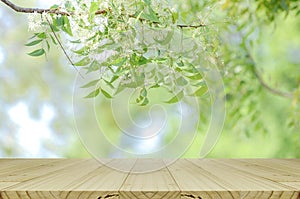 Perspective wood table and nature background photo