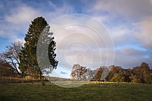 Autumnal Perthshire photo