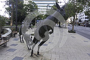 Perth, Western Australia / Australia -01/20/2013 : Kangaroos sculptures on the street St Georges Terrace