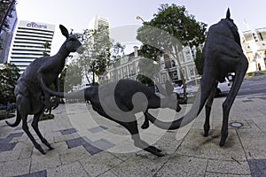 Perth, Western Australia / Australia -01/20/2013 : Kangaroos sculptures on the street St Georges Terrace