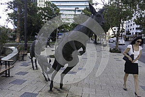 Perth, Western Australia / Australia -01/20/2013 : Kangaroos sculptures on the street St Georges Terrace