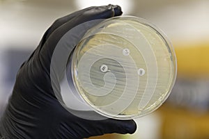 Antibiotic resistance bacteria photo