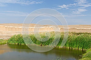 Peru, Chan Chan ruins near Trujillo photo