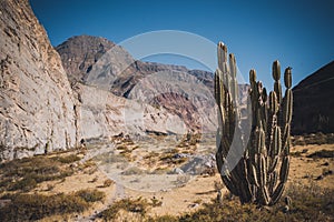 Peru, Cotahuasi canyon. The wolds deepest canyon.