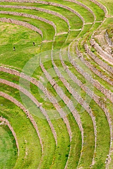 Peru, Inca Terraces of Moray