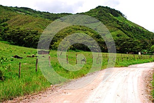 Peru Oxapampa dirt road in a fertile valley photo