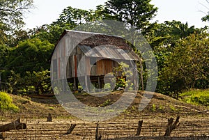 Peru, Peruvian Amazonas landscape. The photo present typical in