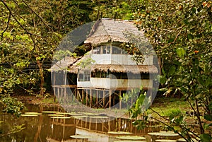 Peru, Peruvian Amazonas landscape. The photo present typical indian tribes settlement in Amazon photo