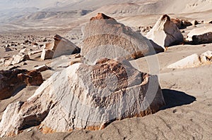 Peru, Toro Muerto Petroglyphs photo