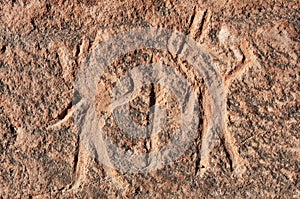 Peru, Toro Muerto Petroglyphs photo