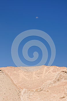 Peru, Toro Muerto Petroglyphs photo