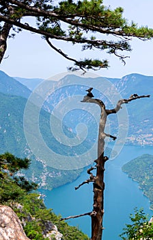 Perucac Lake glistening beneath Banjska Stena viewpoint on majestic Mount Tara