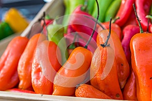 Peruvian aji amarillo chili peppers at a street food market. photo