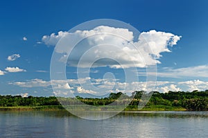 Peruvian Amazonas, Amazon river landscape photo