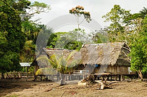 Peruvian Amazonas, Indian settlement photo