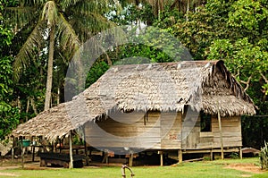 Peruvian Amazonas, Indian settlement photo
