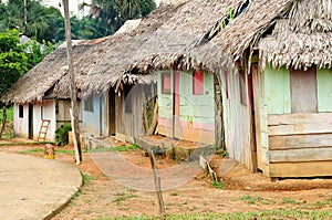 Peruvian Amazonas, Indian settlement photo