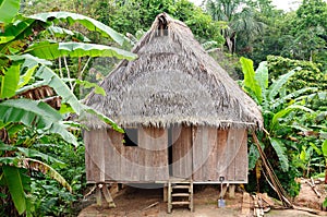 Peruvian Amazonas, Indian settlement photo