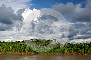 Peruvian Amazonas photo