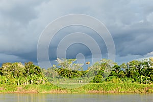Peruvian Amazonas photo