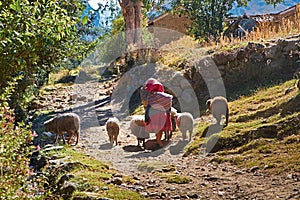 Peruvian Andes