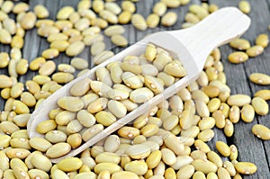 Peruvian Canary (Peruano) Beans