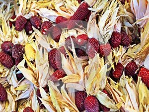 Peruvian colored corn