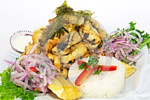 PERUVIAN FOOD: fried FISH MEAL CHICHARRON
