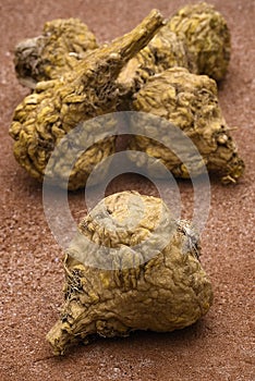 Peruvian ginseng or maca (Lepidium meyenii)