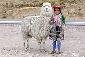 A Peruvian girl stands with a llama in the Puno region of Peru.
